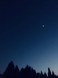 Low angle view of silhouette trees against clear sky at night