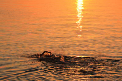 Person swimming in sea during sunset