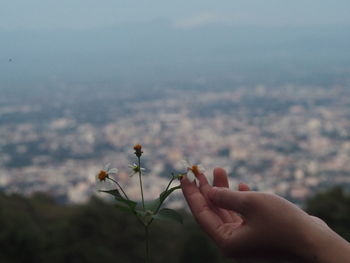 Midsection of person holding flowering plant against sky