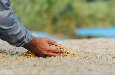 Close-up of man hand on sand