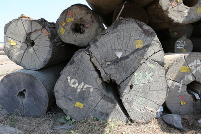 Stack of logs on field