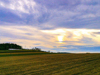 Scenic view of field against sky
