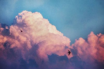 Low angle view of vapor trails in sky