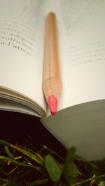 Close-up of flower on book