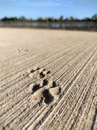 Cat paw print on concrete road against sky