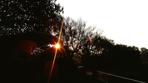 Close-up of hand against trees during sunset