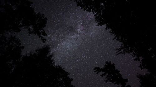 Directly below view of silhouette trees against milky way