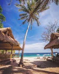 Palm tree and gazebo at beach in bali island