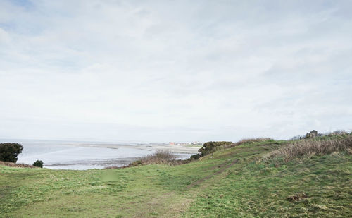 Scenic view of beach against sky