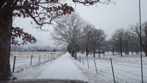 Empty snowcovered road along bare trees