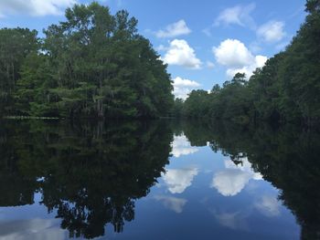 Reflection of trees in lake