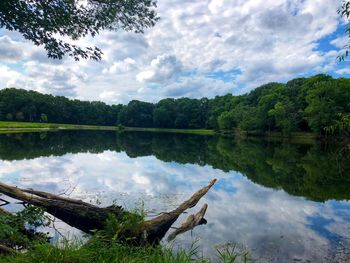 Scenic view of lake and trees against sky