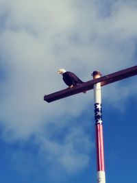 Low angle view of bird perching on pole against sky