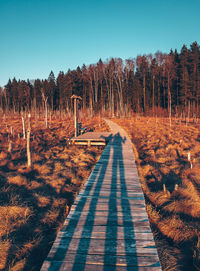 Empty road in forest against clear sky