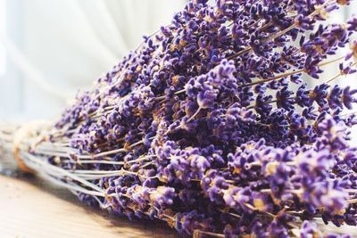 Close-up of purple flowering plants on table