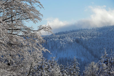 Scenic view of snow covered mountains against sky