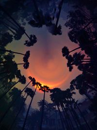 Low angle view of silhouette trees against dramatic sky