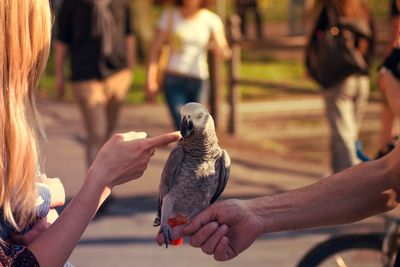 Close-up of woman with parrot