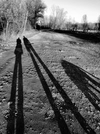 Shadow of man on field