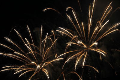 Firework display at night