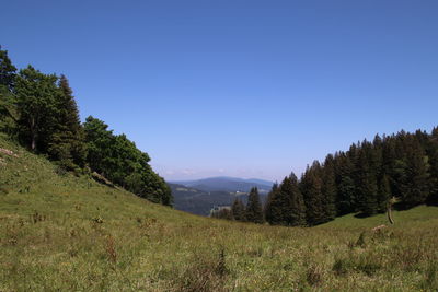 Scenic view of landscape against clear blue sky