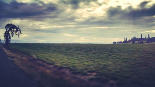 Scenic view of field against cloudy sky
