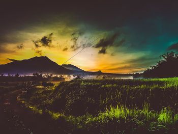 Scenic view of field against sky during sunset