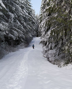 Full length rear view of woman walking on snowy field amidst trees