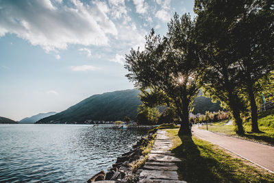 Scenic view of river amidst trees against sky