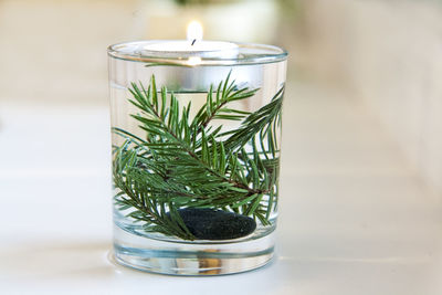 Christmas decoration with fir branches and candle