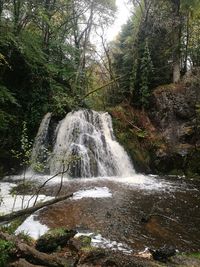 Scenic view of waterfall in forest