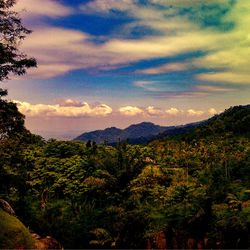 Scenic view of mountains against sky at sunset