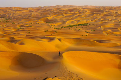 Scenic view of sand dunes in desert