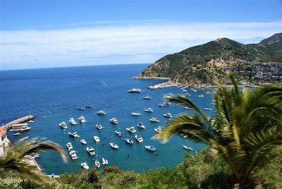 High angle view of bay against sky