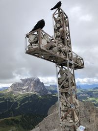 Low angle view of bird on mountain against sky