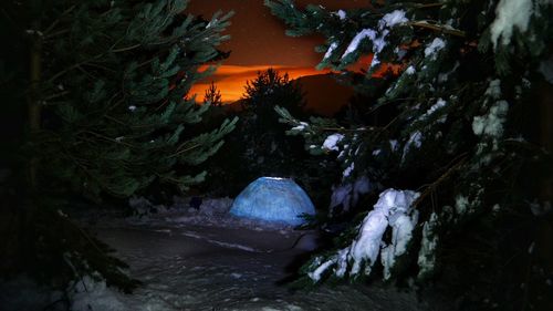 Scenic view of river in forest at night