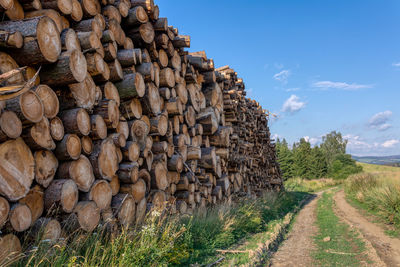 Stack of logs on field by road against sky