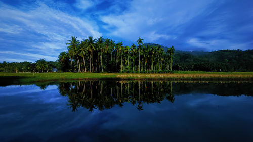 Reflection of trees in lake against sky