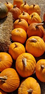 High angle view of pumpkins in market