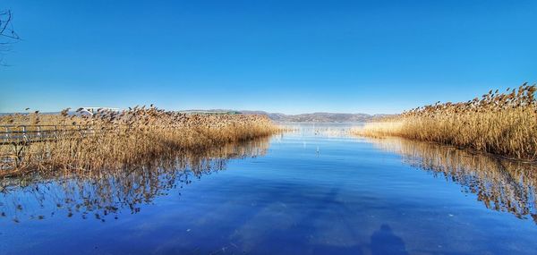 Scenic view of lake against clear blue sky