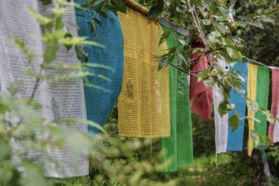 Buddhist prayer flags hung outdoors 