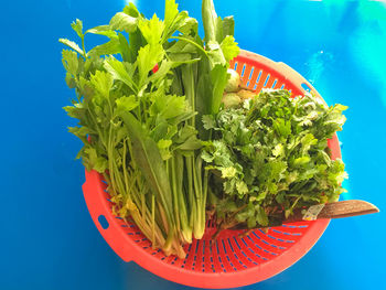 High angle view of vegetables in busket