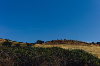 Scenic view of field against clear blue sky