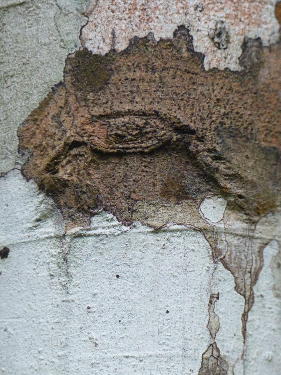 CLOSE-UP OF WEATHERED BRICK WALL