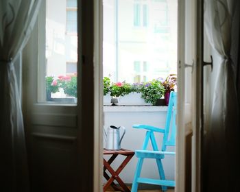 Potted plants on window sill