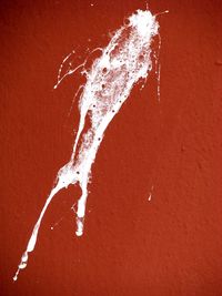 Close-up of splashing water against wall