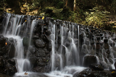 View of waterfall in forest