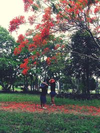 Couple standing in park during autumn