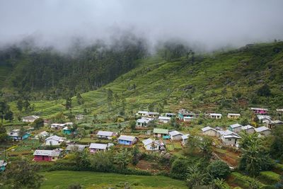 Trees and houses on field against sky