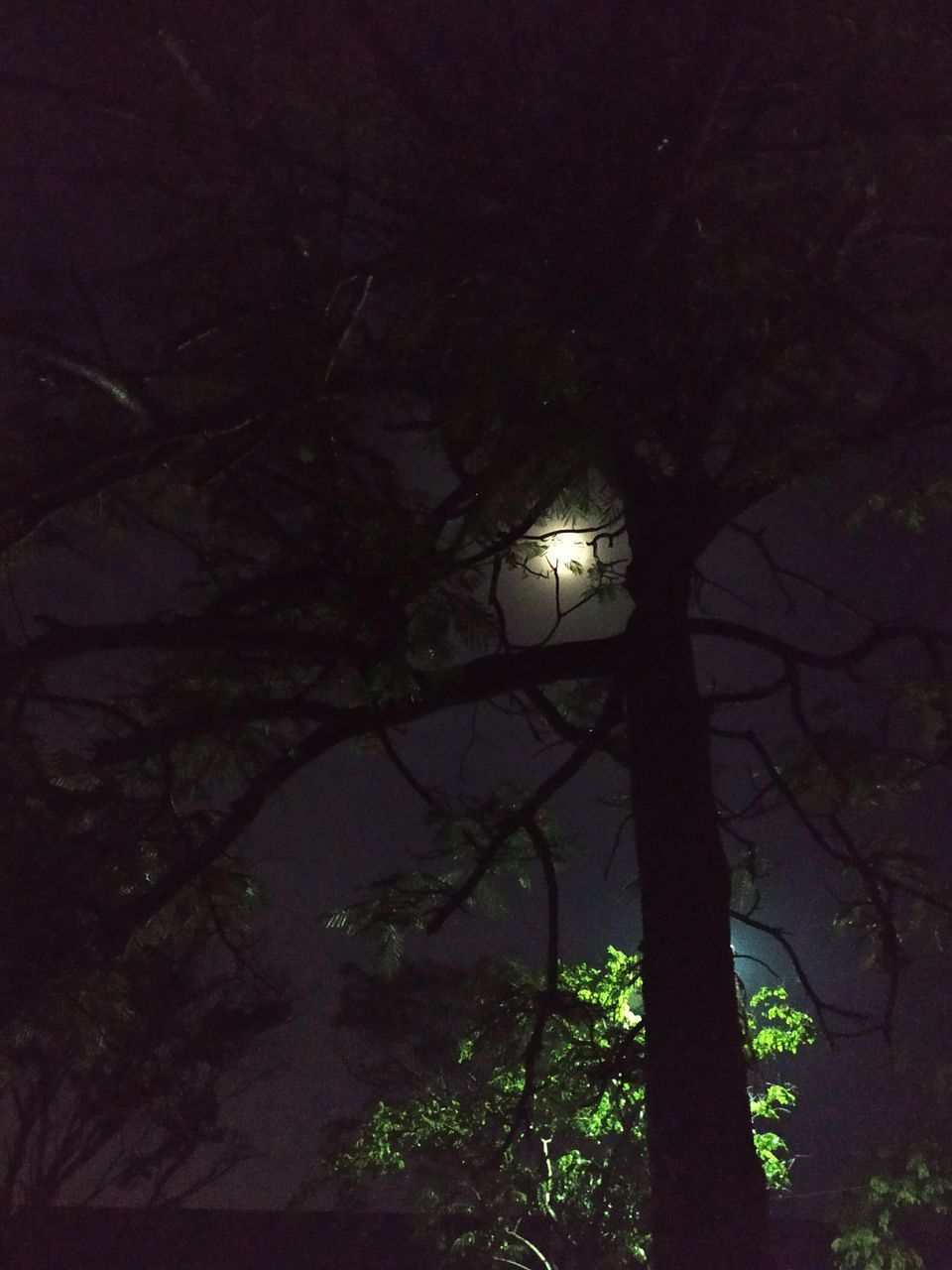 LOW ANGLE VIEW OF ILLUMINATED STREET LIGHT AGAINST SKY